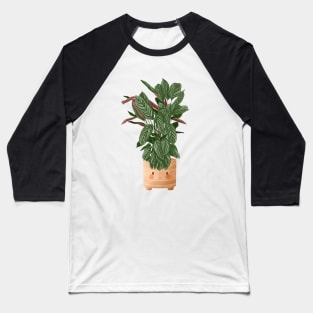Cute Plant Illustration, Calathea Makoyana Compact Star Baseball T-Shirt